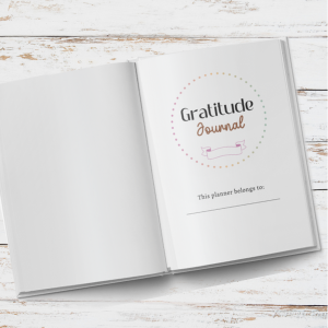 Gratitude Journal: 30 Days of Daily Reflection
