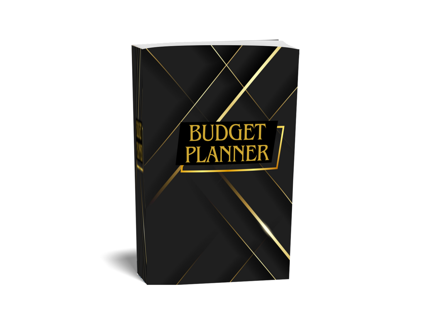 Budget Planner: Monthly Finance Organizer to Take Control of your Money