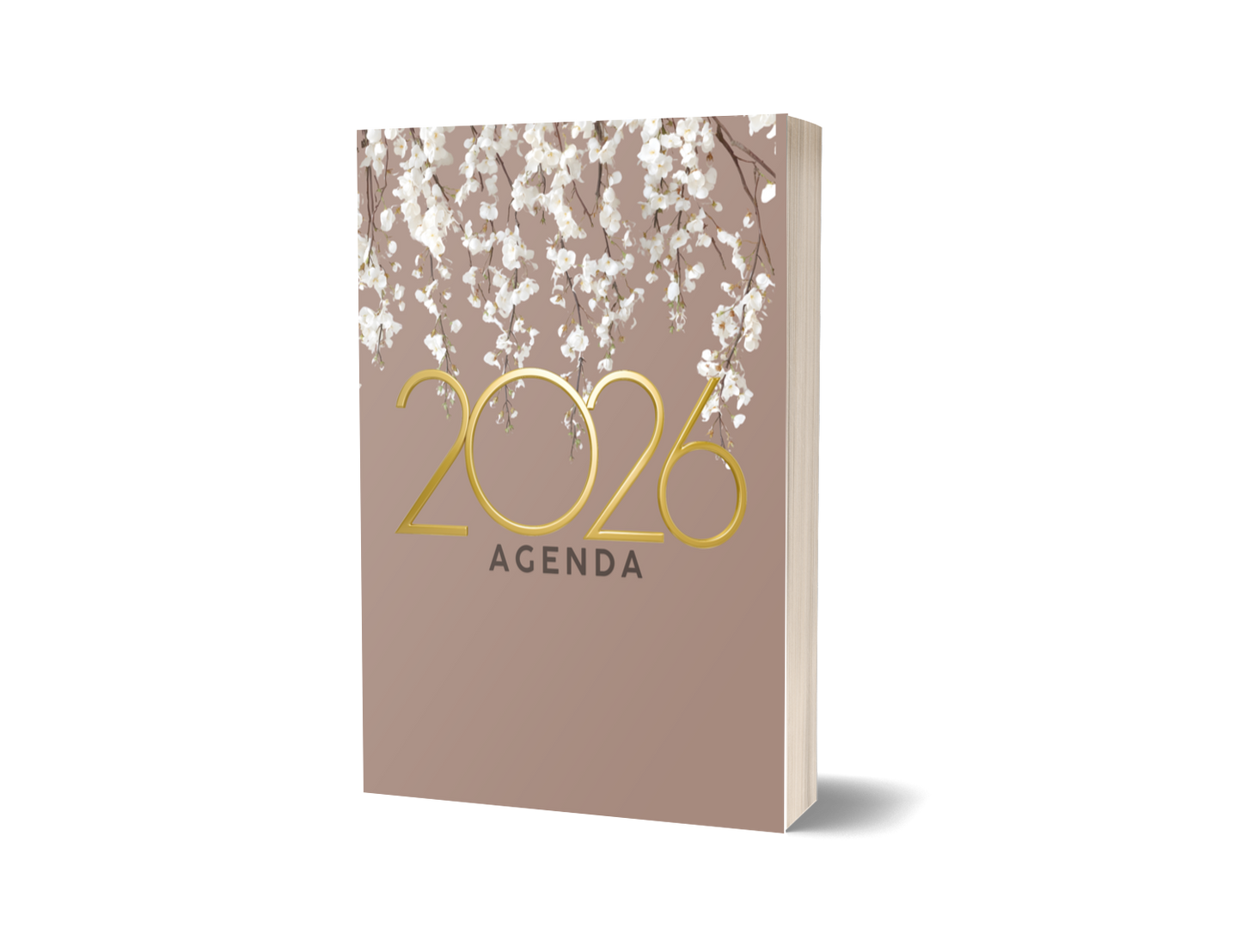 2026 Agenda