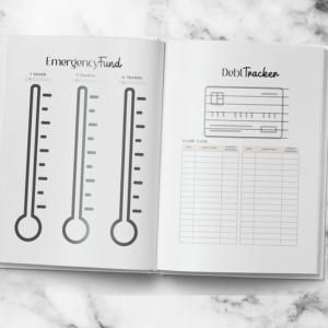 Budget Planner: Monthly Finance Organizer to Take Control of your Money