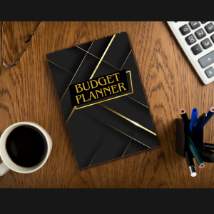 Budget Planner: Monthly Finance Organizer to Take Control of your Money