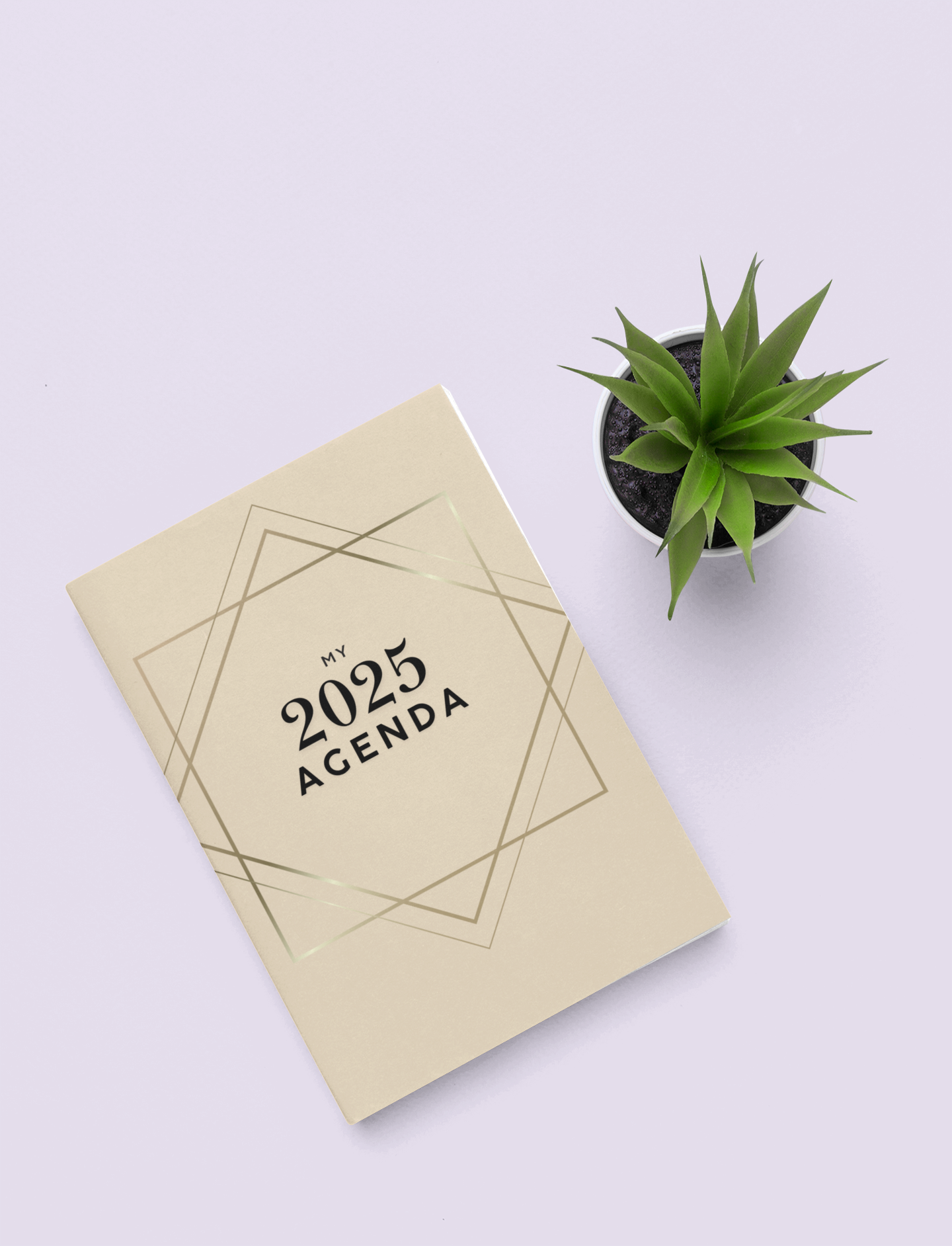2025 Agenda