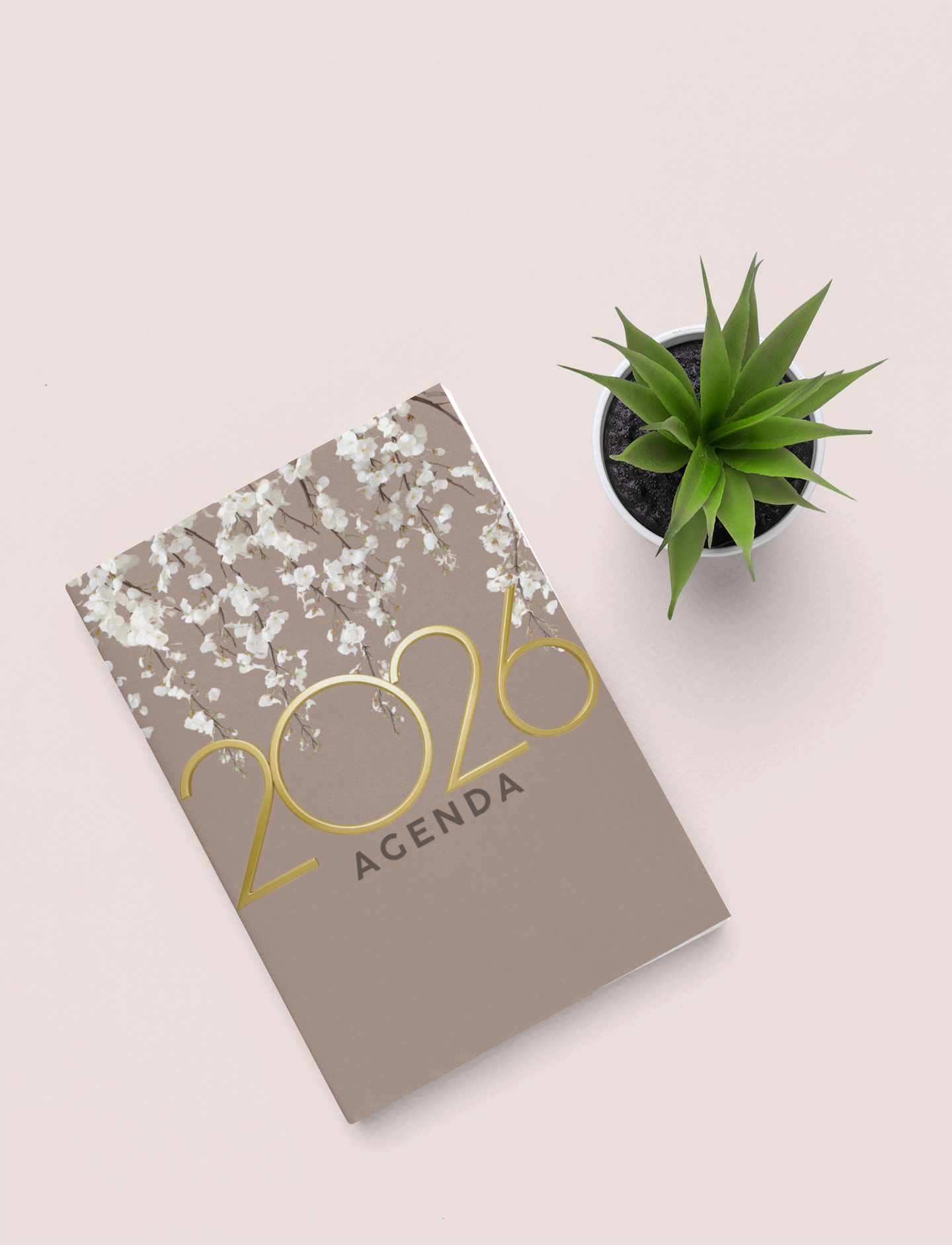 2026 Agenda
